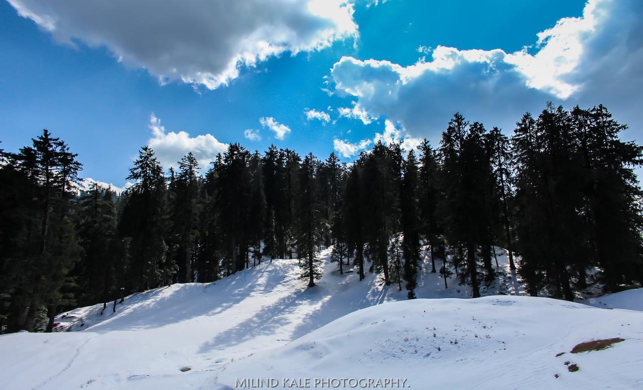 Tethys Ski Resort Narkanda Exterior photo